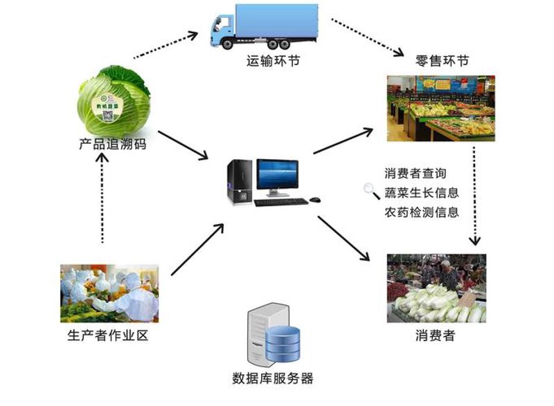 联盟链开发