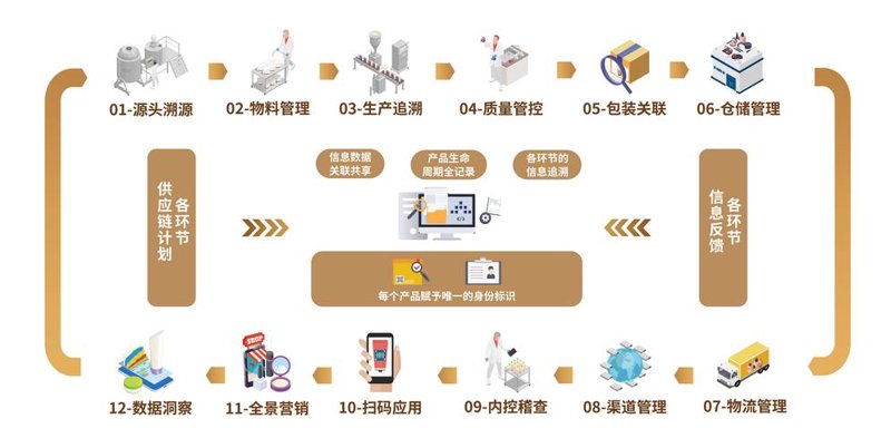 智能合约开发